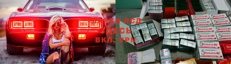 Где найти наркотики Гатчина СК  COCAIN  Меф  Амфетамин  кракен как войти  Бошки Шишки 